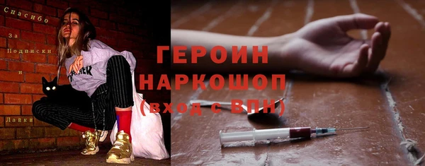 гашик Алексин