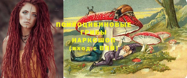 PSILOCYBIN Алзамай