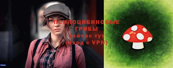 PSILOCYBIN Алзамай