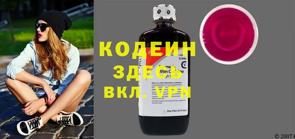 гашик Алексин