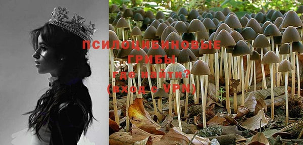 PSILOCYBIN Алзамай