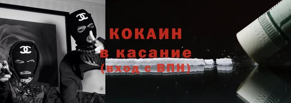 гашик Алексин