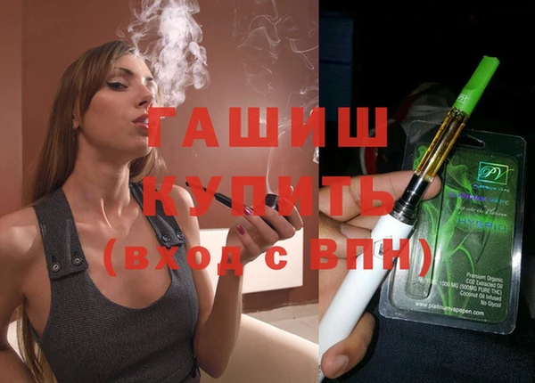 гашик Алексин
