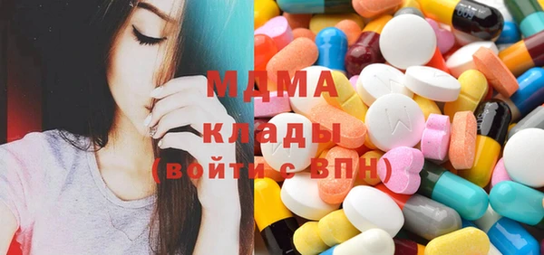 гашик Алексин