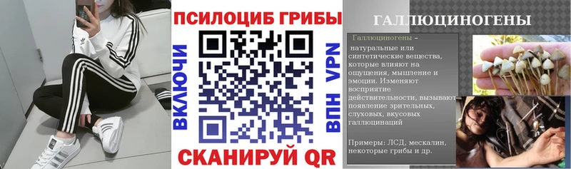 Псилоцибиновые грибы мухоморы  kraken сайт  Новошахтинск 